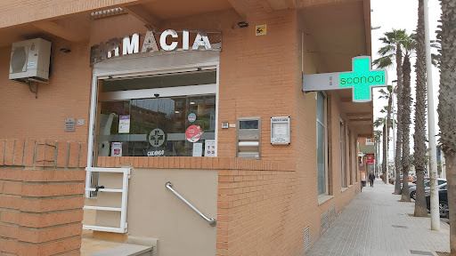 Farmacia Patacona