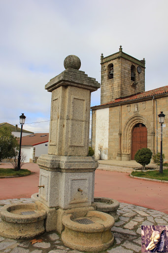 M Rosario Sánchez Solondo